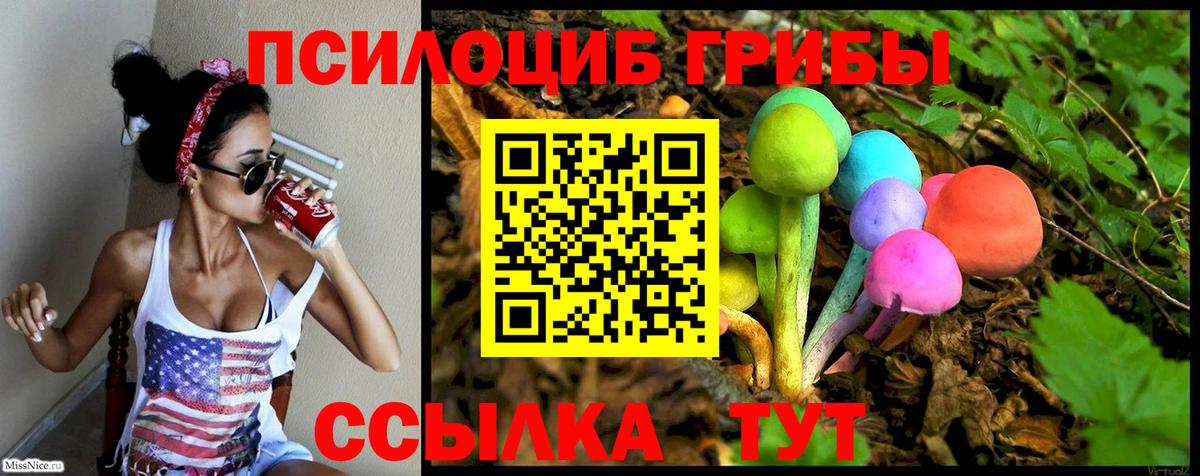 Рассказово  Псилоцибиновые грибы MAGIC MUSHROOMS  Вход с VPN  как найти   Галлюциногенные грибы Magic Shrooms 