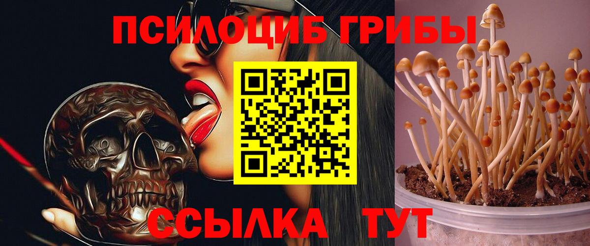 Псилоцибиновые грибы мухоморы Рассказово