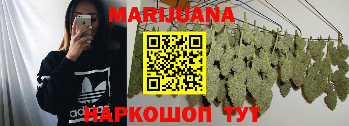 Рассказово  Конопля план  Шишки марихуана THC 21%  Бошки марихуана ГИДРОПОН  Вход с VPN 
